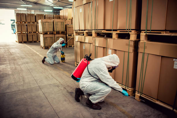 Best Commercial Pest Control Services  in Woodworth, LA