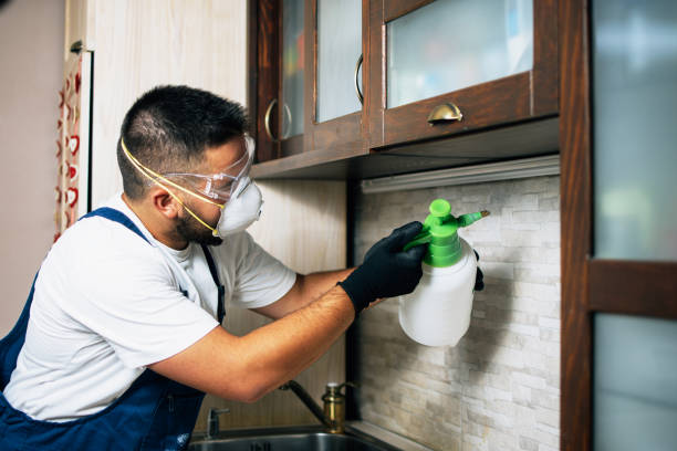 Best Rat Extermination Near Me  in Woodworth, LA