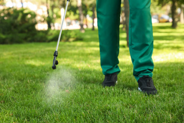 Best Pest Control for Restaurants  in Woodworth, LA