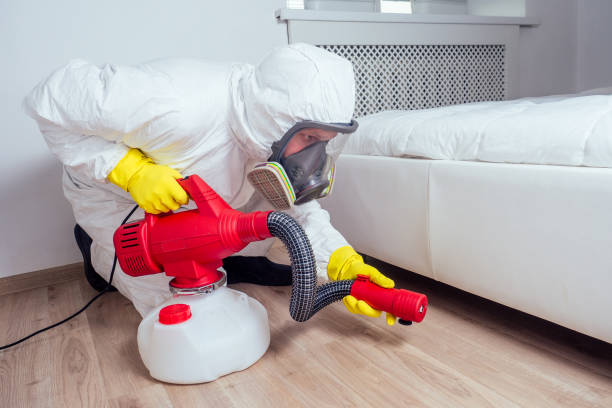 Best Best Pest Control Companies  in Woodworth, LA
