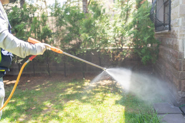 Pest Control for Restaurants in Woodworth, LA
