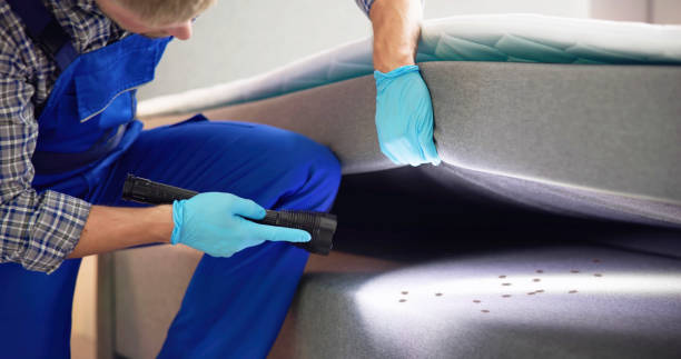 Best Cockroach Control Services  in Woodworth, LA